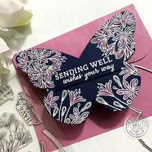 Load image into Gallery viewer, CM319 Beautiful Day Agapanthus