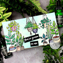 Load image into Gallery viewer, CM338 Hang In There Potted Plants