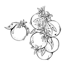 Load image into Gallery viewer, CM414 Orange Blossoms