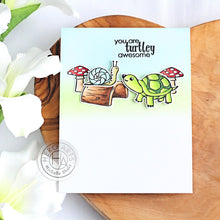 Load image into Gallery viewer, CM345 Pet Turtle
